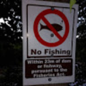 Meet your Posher, Zorin